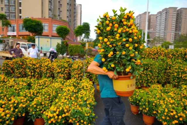 Citizens purchase mandarin oranges to welcome the upcoming Chinese New Year, the Year of the Dragon, on February 7, 2024 in Haikou, Hainan province of China