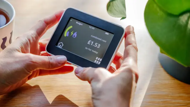 Person holding energy smart meter with plant and table in the background