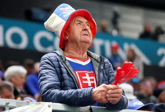 Slovakia fan looks on