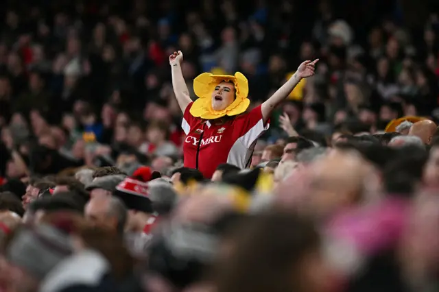 Wales fan with a daffodil hat