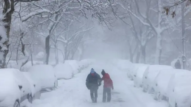 A couple walk through a snow covered row of trees