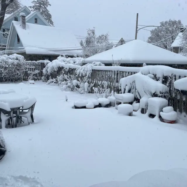 In their backyard, cables can be seen sagging under the weight of the snow