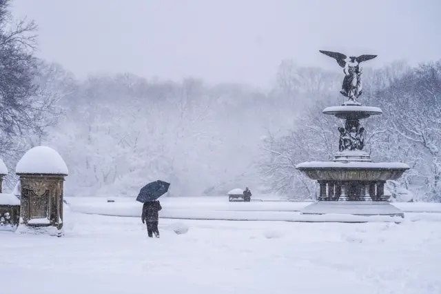 A silhouetted figure walks their dog up some snow-covered stairs with the pillars of the Bethesda Terrace in view in the foreground and the trees of the park in the background on 23 February 2026