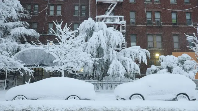 Parked cars and trees are covered in snow during a blizzard on February 23, 2026 in the Flatbush neighbourhood of the Brooklyn borough in New York City