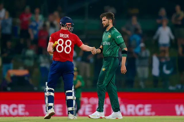 Shaheen Afridi shakes Harry Brook's hand after he reaches his century
