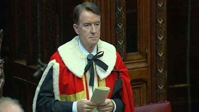 Peter Mandelson in his robes in the House of Lords