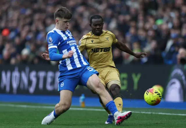 Brighton & Hove Albion's Harry Howell in action with Crystal Palace's Tyrick Mitchell
