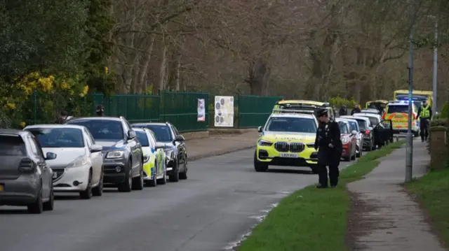 A leafy road is lined with parked cars, including police cars and an ambulance. Two officers are walking around.