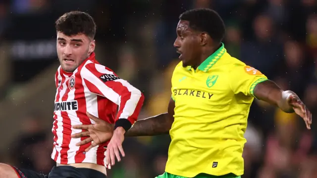 Jose Cordoba in action for Norwich against Sheffield United