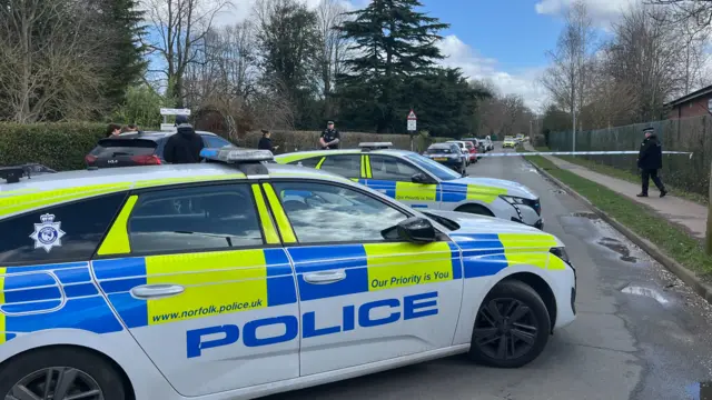 Two police cars block a road, which is lined by trees, bushes and a fence. Blue and white police tape marks a cordon in place and officers are on foor.