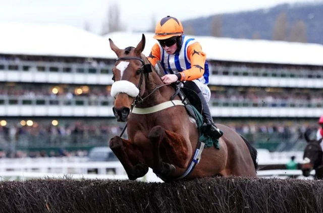 Ask Brewster ridden by Mr S Cotter wins