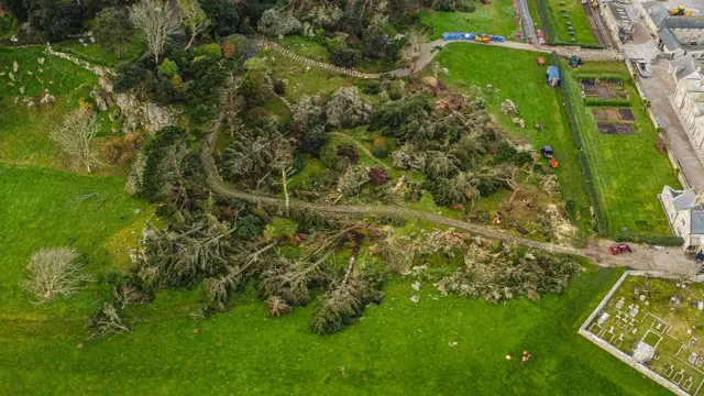 Fallen trees on 14 January on St Michael's Mount, Cornwall.