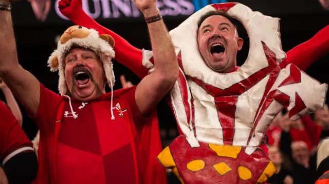 Wales fans celebrate