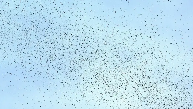 Hàng trăm tờ rơi được thả lên không trung khi Lực lượng Phòng vệ Israel (IDF) triển khai chúng trên bầu trời Beirut.