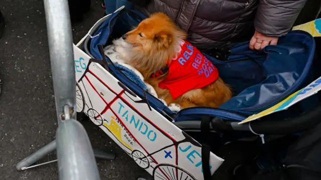 A dog in a stroller with a tandem bike drawn on the side