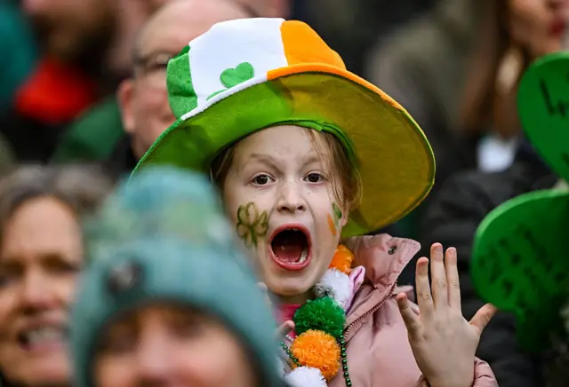 Ireland fan at the game