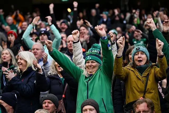 Ireland fans at the game