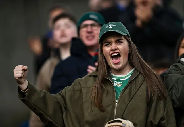 Ireland fan at the game