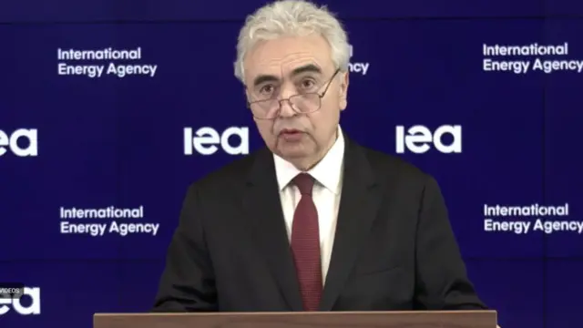 IEA Executive Director Fatih Birol