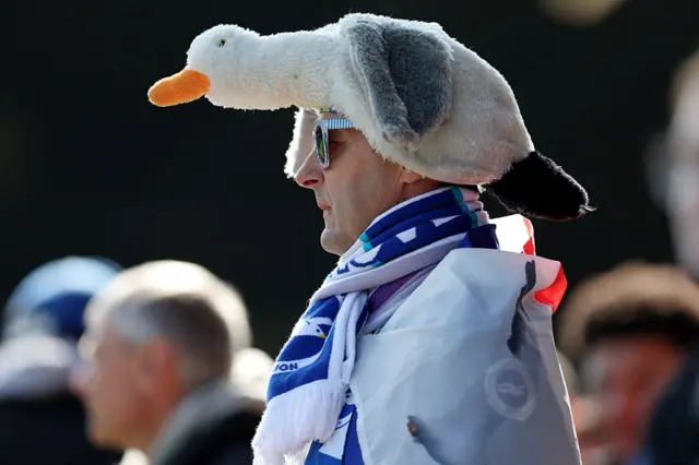 Brighton fan with a seagull hat in the stands
