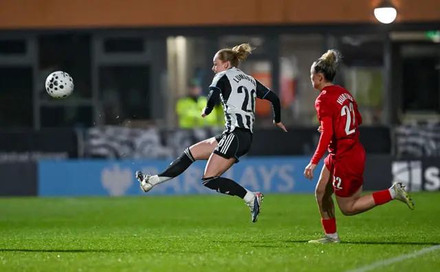 Newcastle in WSL2