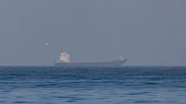 A shipping vessel on the horizon in the Strait of Hormuz