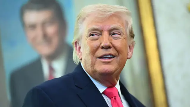 President Donald Trump speaks in the Oval Office of the White House in Washington DC.