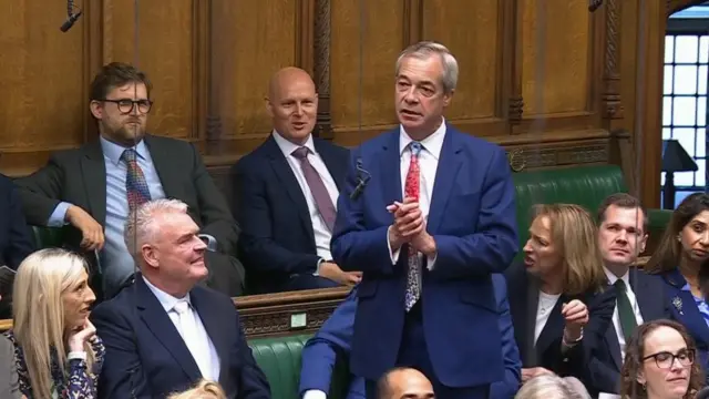 Nigel Farage stands in parliament