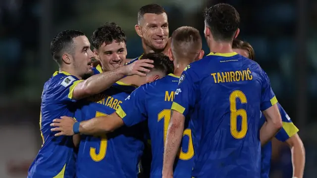 Bosnia-Herzegovina players celebrate a goal last year