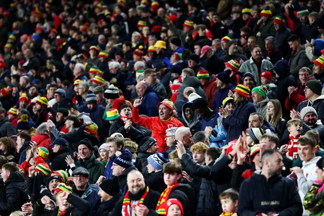 Wales fans celebrate