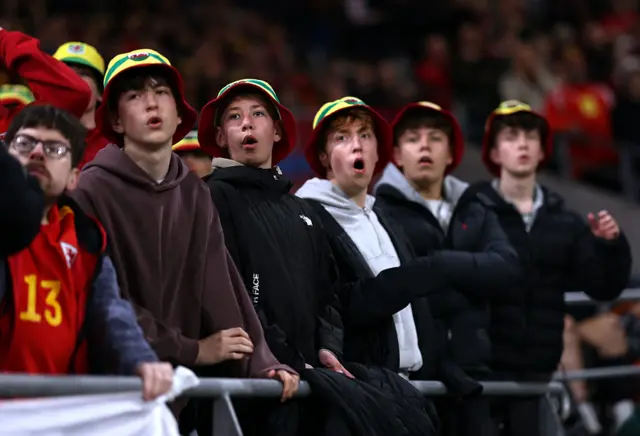 Wales fans watch on