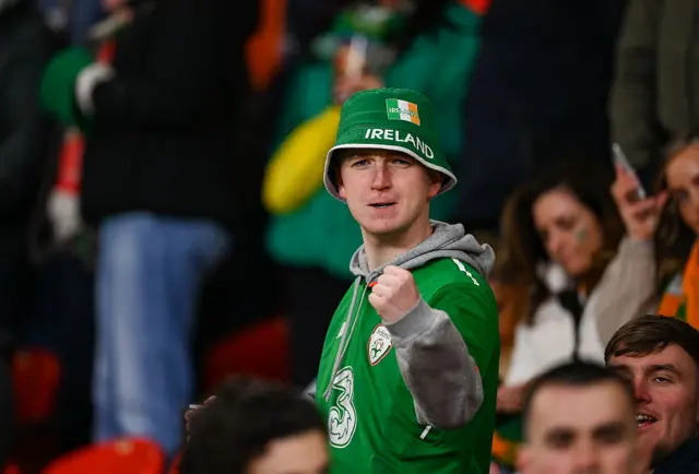 Ireland fan pumps his fist at the camera