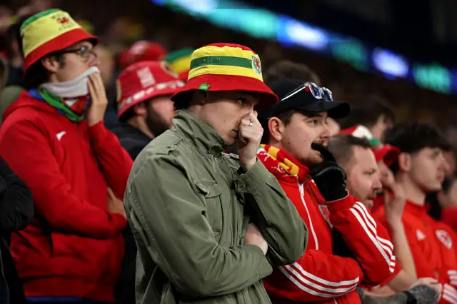 Wales fans react to the late equaliser for Bosnia