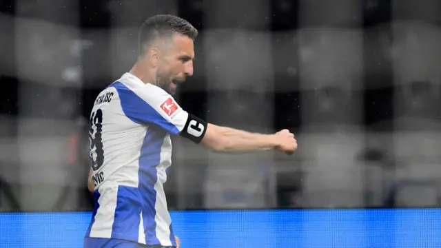 Vedad Ibisevic celebrates