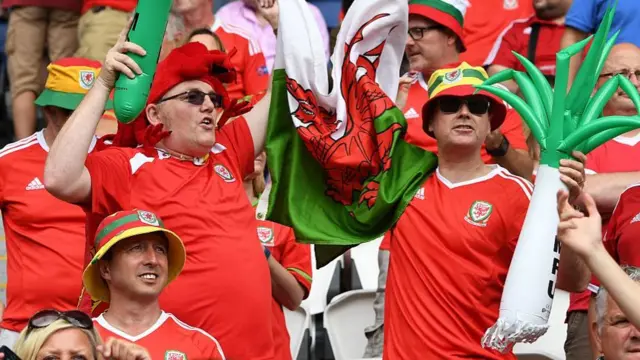 Wales fans