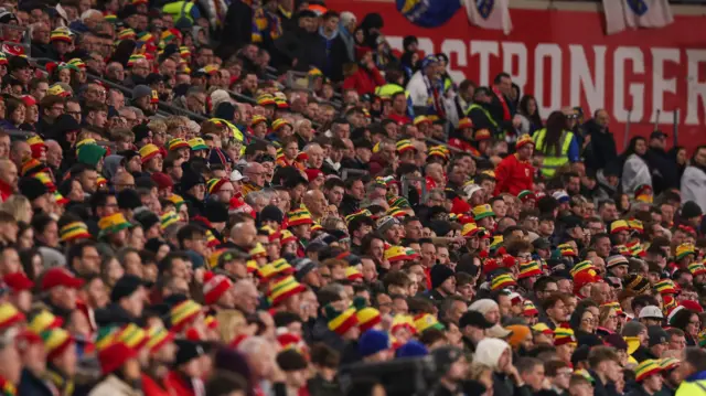 Wales fans in stadium