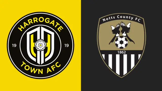 Club badges banner