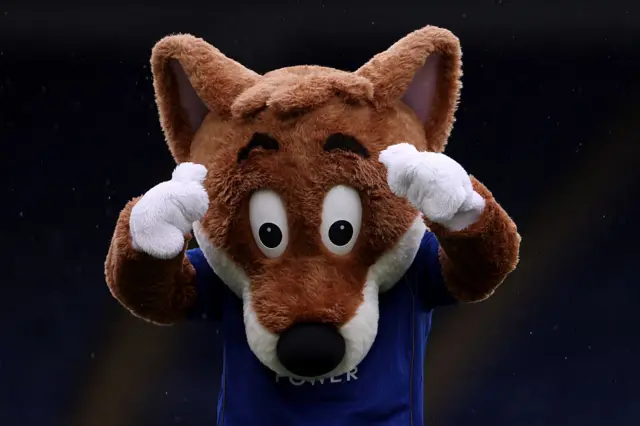 Leicester mascot
