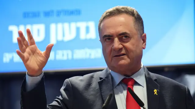 Israel's Defense Minister Israel Katz