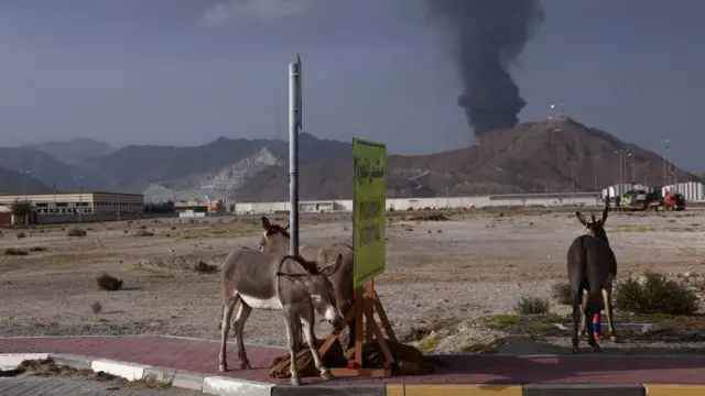 Donkeys stand by a road sign in the foreground. In the background, a plume of smoke can be seen rising over a hill