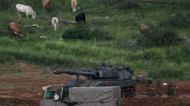 Israeli tanks and soldiers standing near a grassy hillside where cattle are grazing