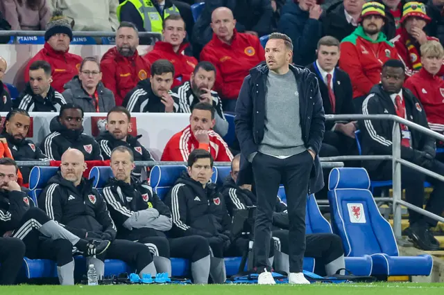 Craig Bellamy looks on from the touchline