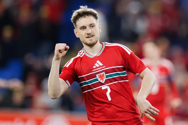 David Brooks celebrates Wales' goal