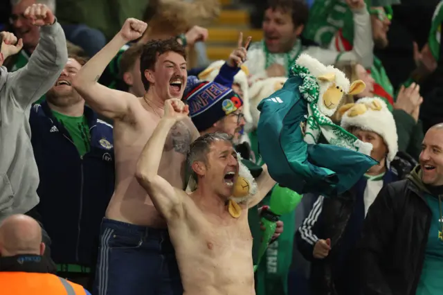 Northern Ireland fans celebrate