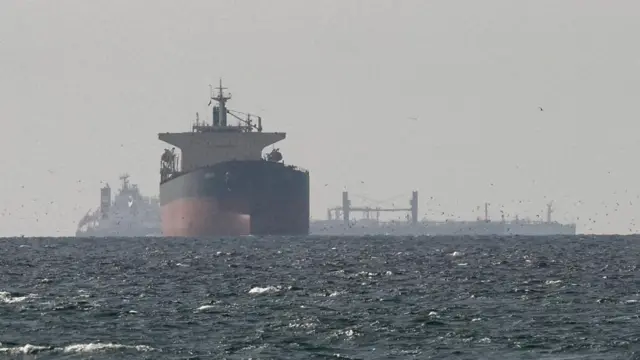 Several cargo ships on the Strait of Hormuz, a flock of birds fly in front of them