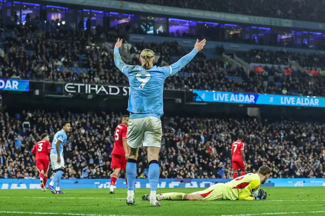 Erling Haaland appeals