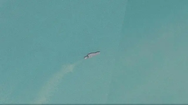 A ship which resembles the IRIS Shahid Bagheri sailing