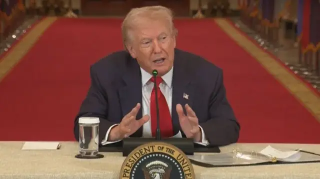 Trump sitting at a table, speaking into a microphone and using his hands to illustrate a point, in front of a red carpet