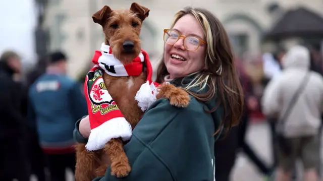 A dog dressed in a Wrexham scarf
