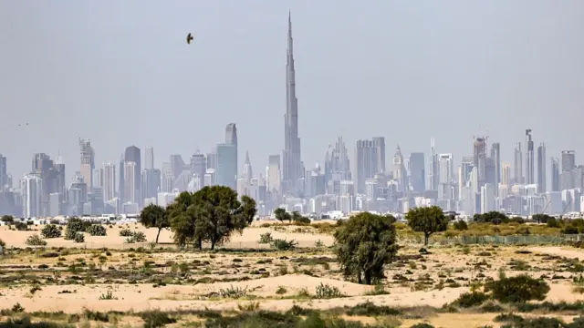 The Dubai skyline, seen last month